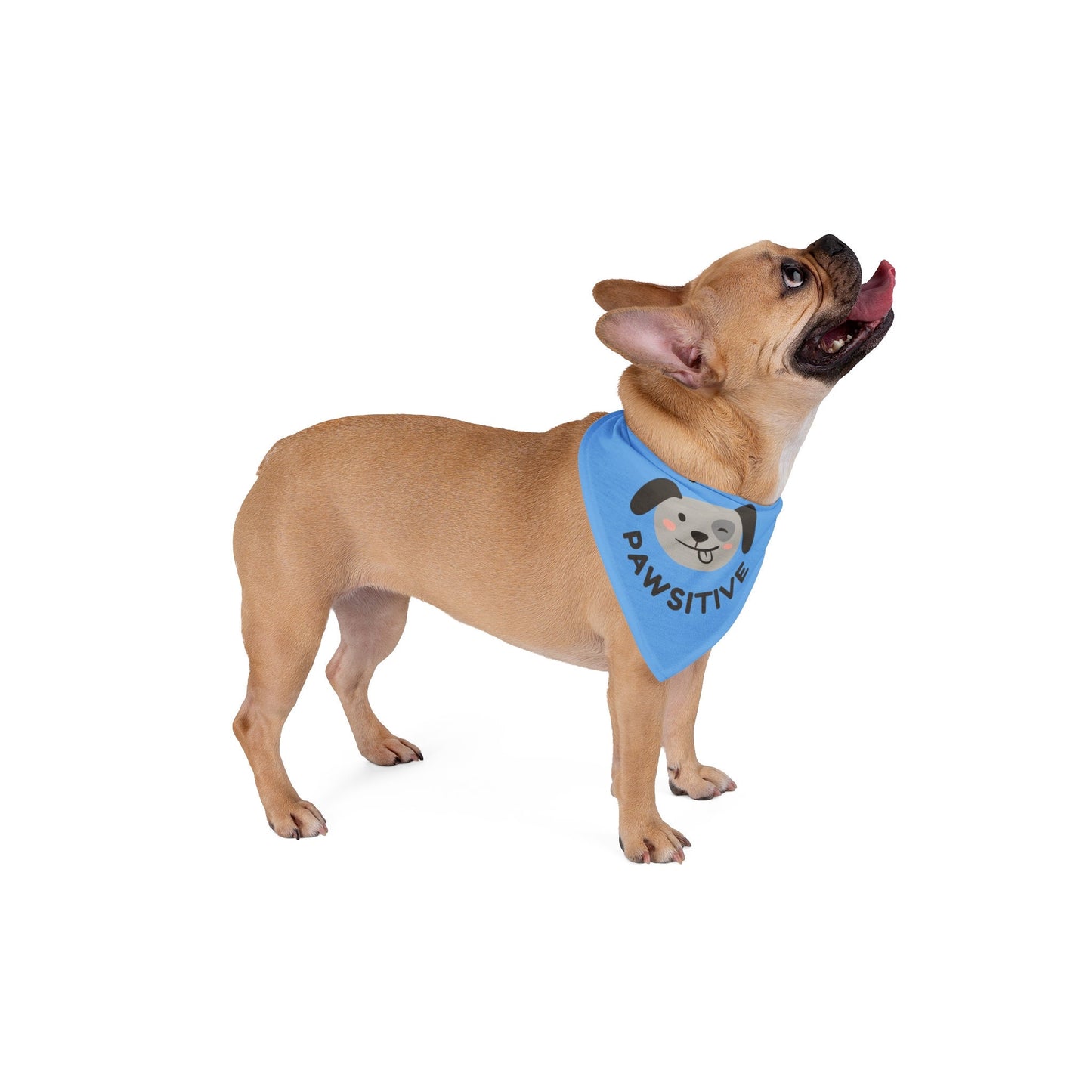 Stay Pawsitive Pet Bandana