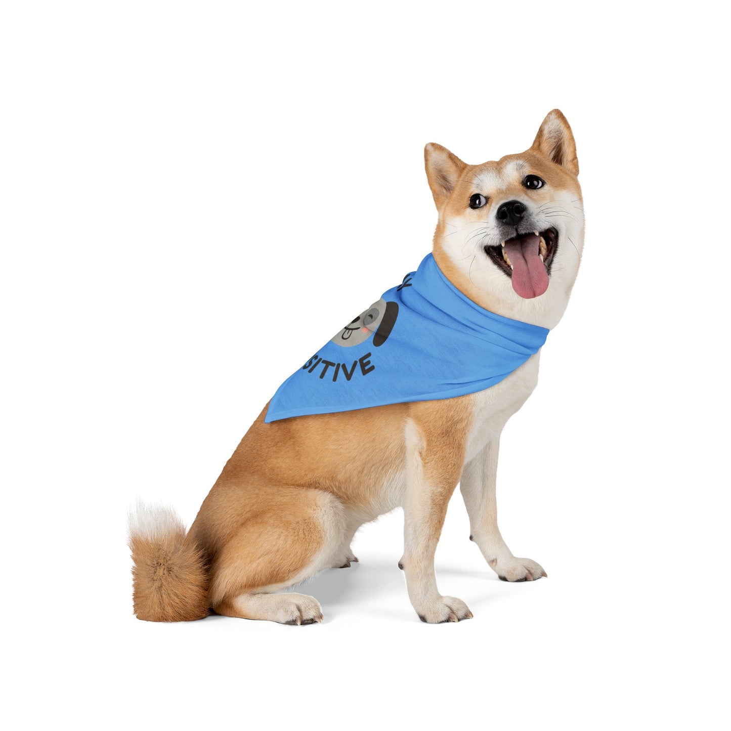 Stay Pawsitive Pet Bandana